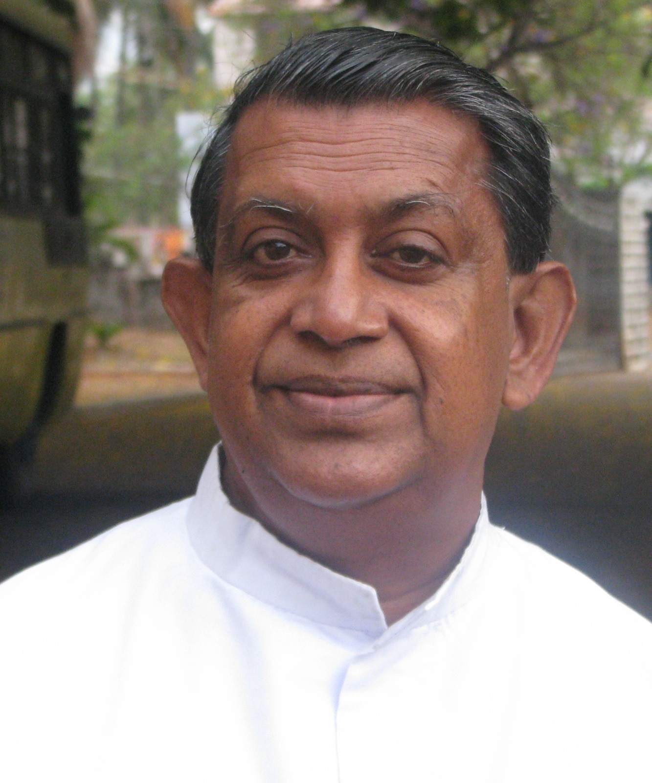 Rev. Fr. Raphael Kanjirathingal CMI